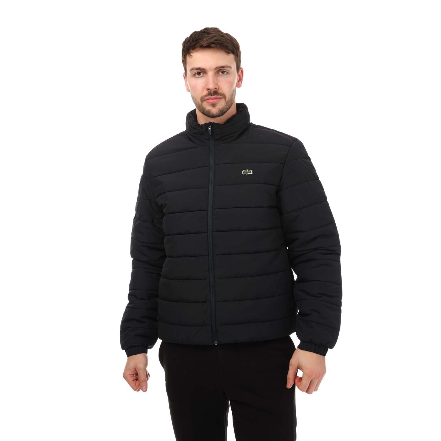 Navy Lacoste Mens Hooded Puffer Jacket - Get The Label