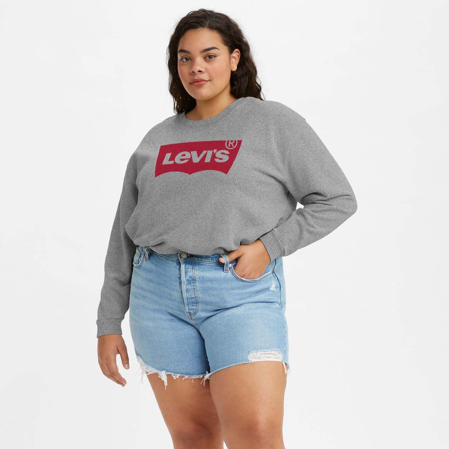 Womens Plus Graphic Standard Crew Sweatshirt